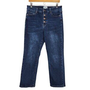 William Rast Slim Straight Button Fly Jeans Size 28 Ankle Length High Rise